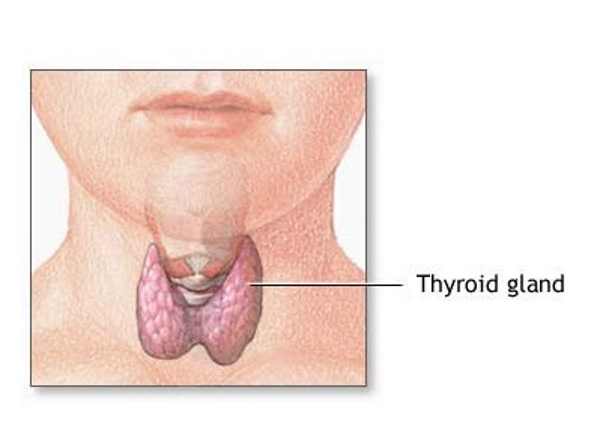 Thyroide