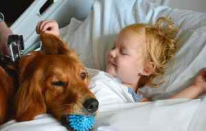 cane ospedale pet therapy
